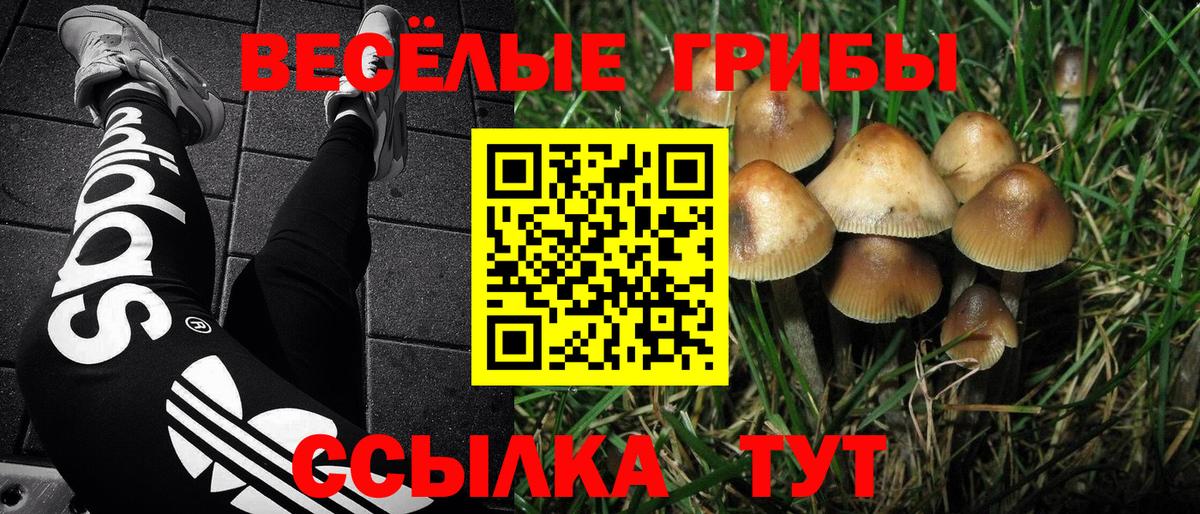 Псилоцибиновые грибы мицелий  Вход с VPN  Асбест 